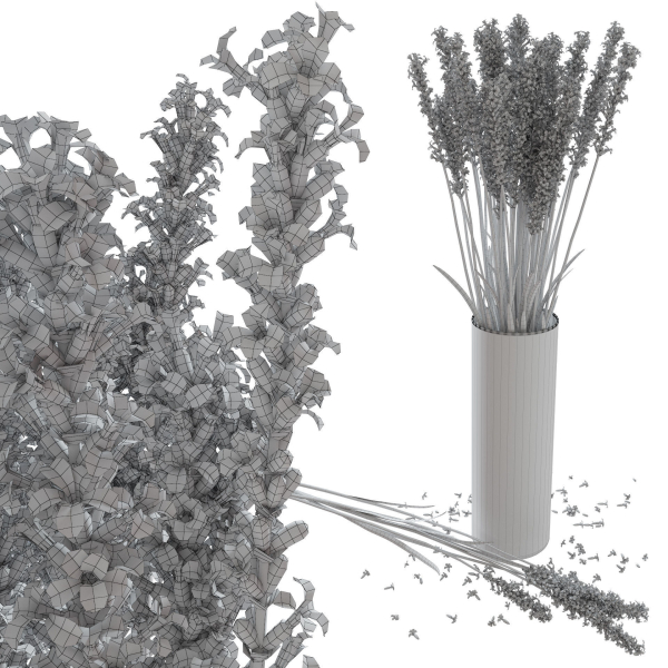 The bouquet of lavender in a vase