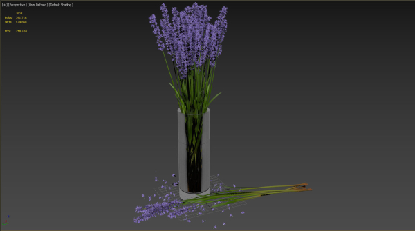 The bouquet of lavender in a vase