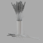 The bouquet of lavender in a vase