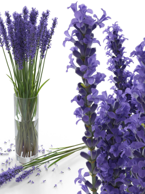 The bouquet of lavender in a vase