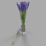 The bouquet of lavender in a vase