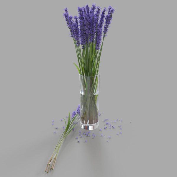 The bouquet of lavender in a vase