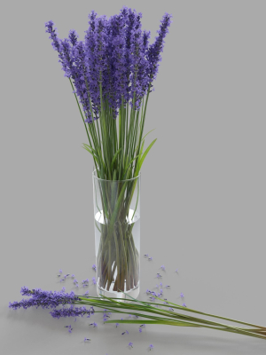 the-bouquet-of-lavender-in-a-vase-3d-model-6a08fcf0c4