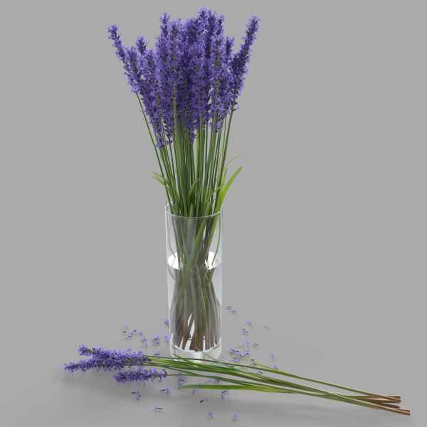 The bouquet of lavender in a vase