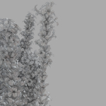 The bouquet of lavender in a vase