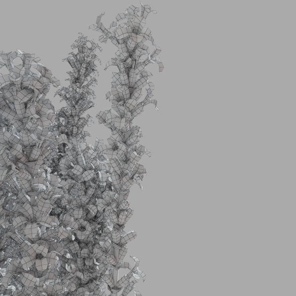 The bouquet of lavender in a vase