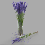The bouquet of lavender in a vase