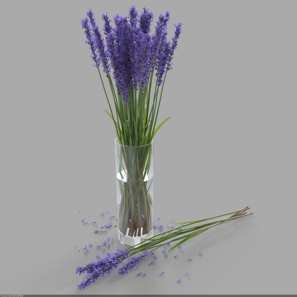 The bouquet of lavender in a vase