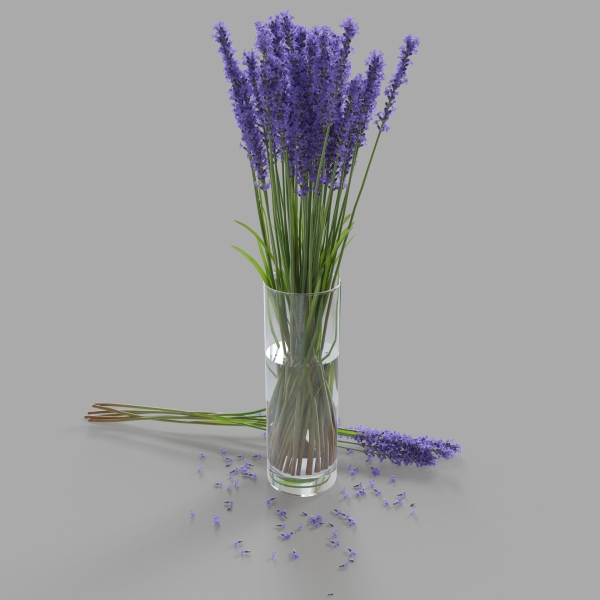 The bouquet of lavender in a vase