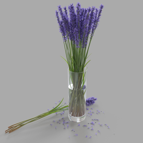 The bouquet of lavender in a vase