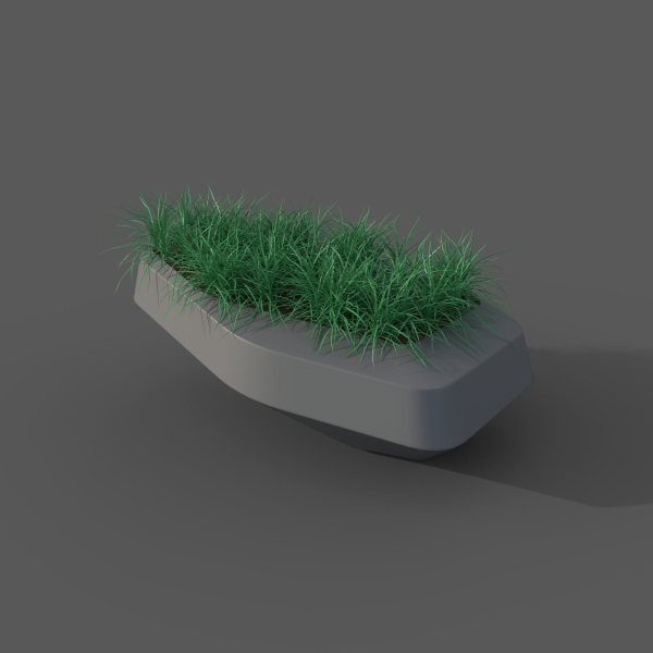 The Lawn