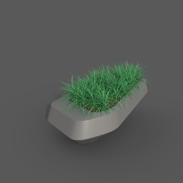 The Lawn