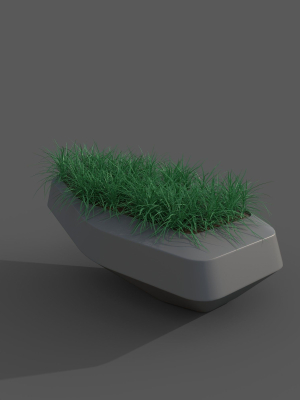 The Lawn