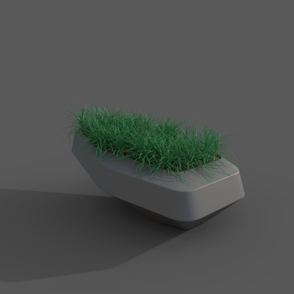 The Lawn