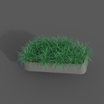 The Lawn