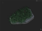 The Lawn