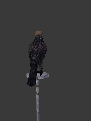 the-peregrine-falcon-3d-model-obj-fbx
