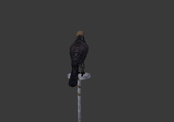 The Peregrine falcon