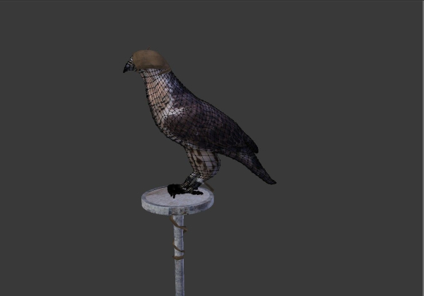 The Peregrine falcon
