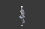 The Peregrine falcon