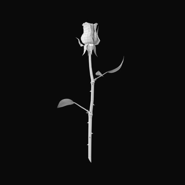 The Rose