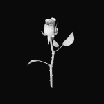 The Rose