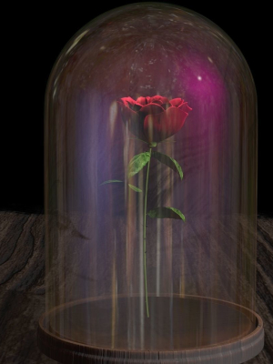 the-rose-3d-model-animated-rigged-fbx-blend