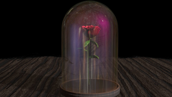 The Rose