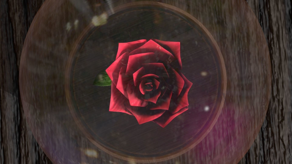The Rose