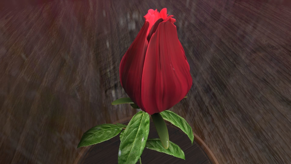 The Rose