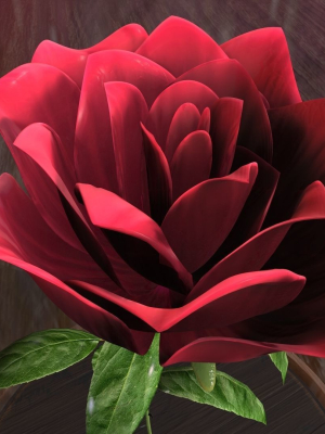 The Rose