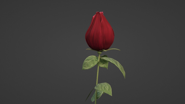 The Rose