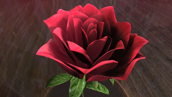 The Rose