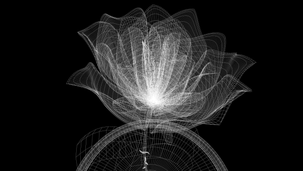 The Rose