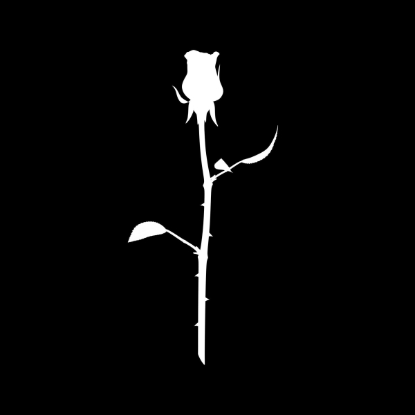 The Rose