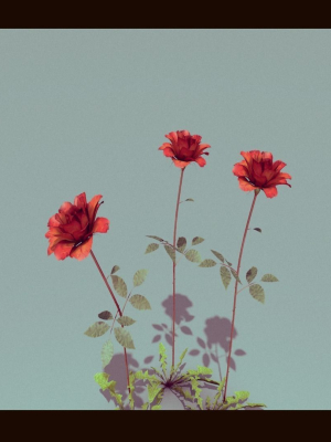 three-growing-roses-3d-model-fbx-c4d