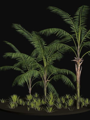 three-palm-tree-areca-wild-tropical-jungle-3d-model-21c98562aa