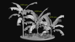 Three Palm tree areca wild tropical jungle