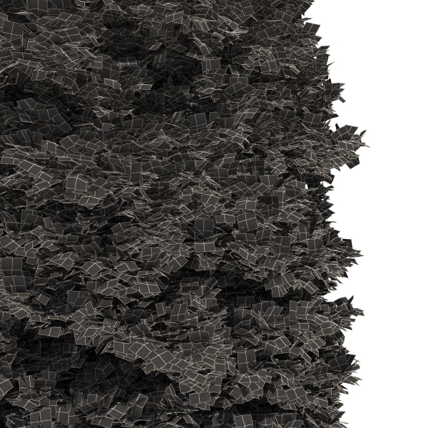 Thuja tree