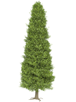 thuja-tree-3d-model-663e9a5cf9