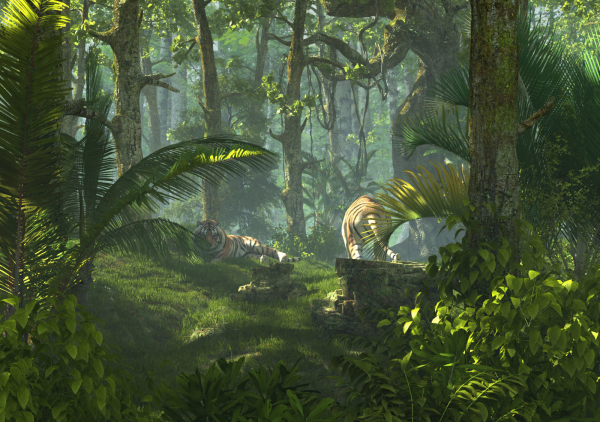 Tiger Forest