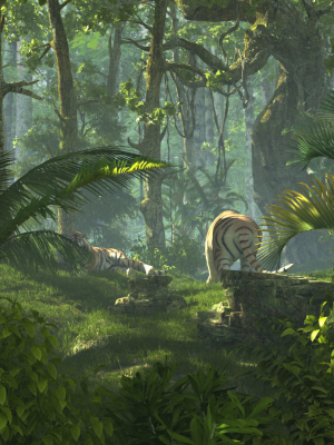 Tiger Forest