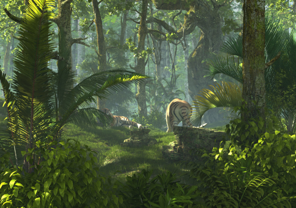 Tiger Forest