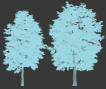 Tilia europaea Nr 4 H12-14m Two tree set