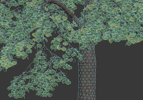 Tilia europaea Nr 4 H12-14m Two tree set