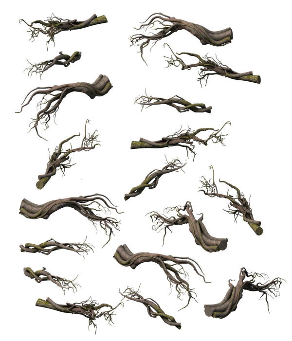 Tongtianhe - plants - climbing vine