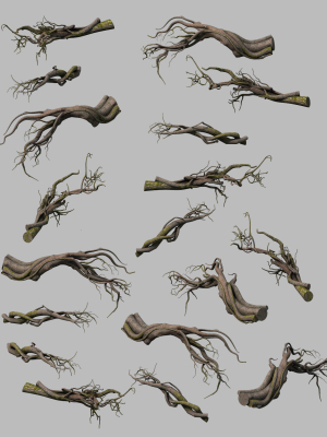 Tongtianhe - plants - climbing vine