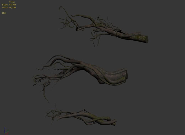 Tongtianhe - plants - climbing vine