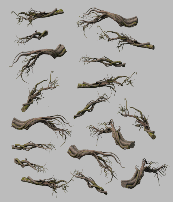 Tongtianhe - plants - climbing vine