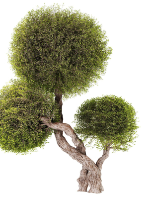 topiary-ball-bush-set01-3d-model-3edec4d897